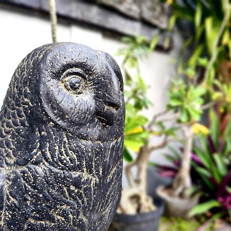 サヌールPanda Lumbung住宿加早餐旅馆 外观 照片